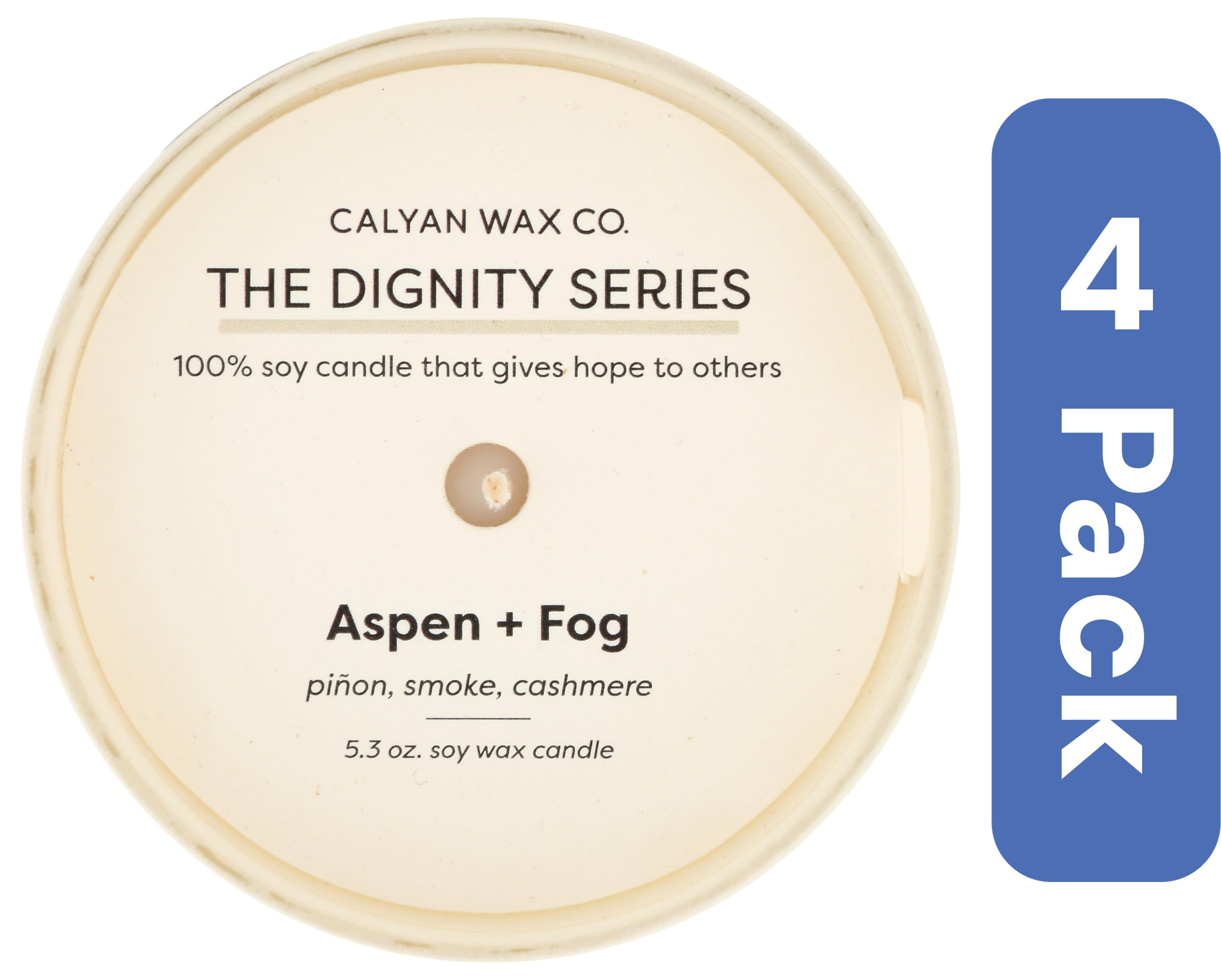 Calyan Wax Co Candle Soy Aspen Fog 5.3 oz (Pack Of 4)