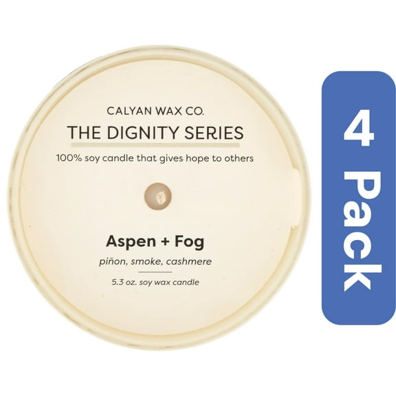 Calyan Wax Co Candle Soy Aspen Fog 5.3 oz (Pack Of 4)
