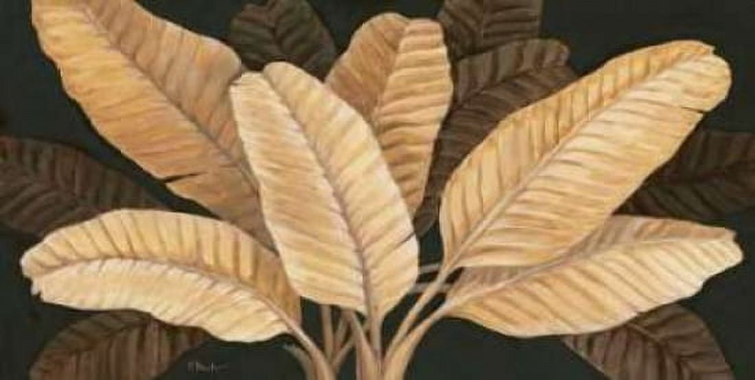 Calypso Leaves I Canvas Art - Paul Brent (24 x 48)