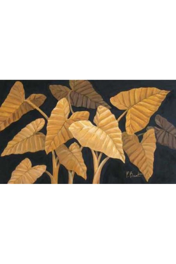 Calypso Leaves II Canvas Art - Paul Brent (24 x 36)