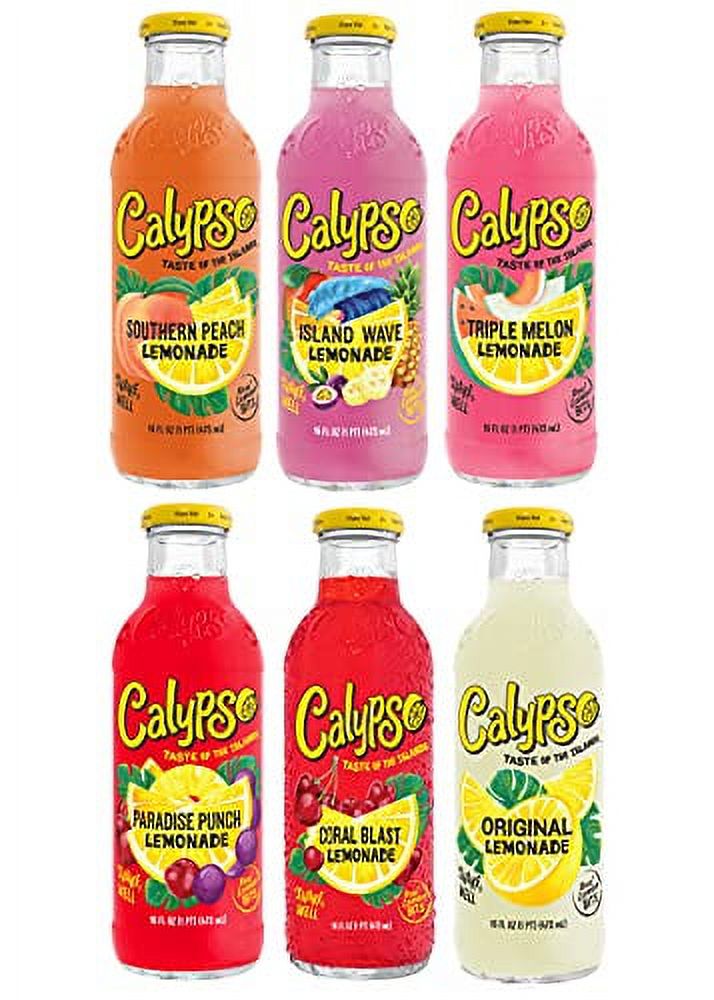 Calypso Lemonade | Made with Real Fruit and Natural Flavors | 6 Flavor Variety, 16 Fl Oz (Pack of 24) - image 1 of 7