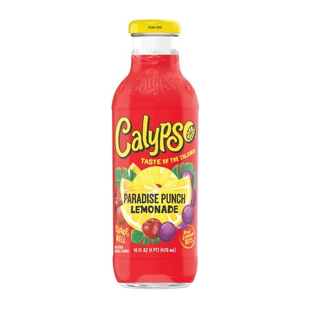 Calypso Paradise Punch Lemonade 16FlOz