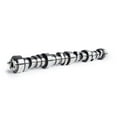 thumbnail image 1 of Cam Motion  0.612 & 0.595 in. 113 deg LS Series Hydraulic Roller Camshafts Lift for 3-Bolt Engines, 1 of 1