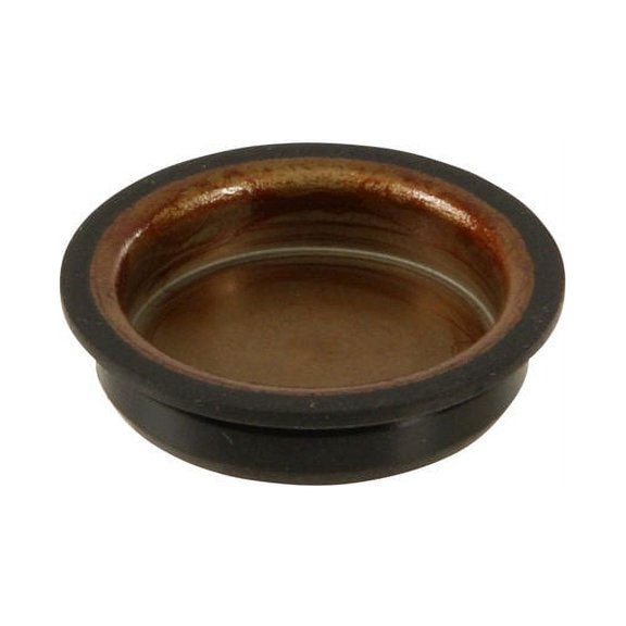 Cam Plug - Compatible with 1995 - 2002 Mazda Millenia 2.5L V6 1996 1997 1998 1999 2000 2001