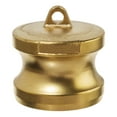 thumbnail image 1 of Cam and Groove Fitting - Brass - Type DP - 3/4" Adapter, 1 of 1