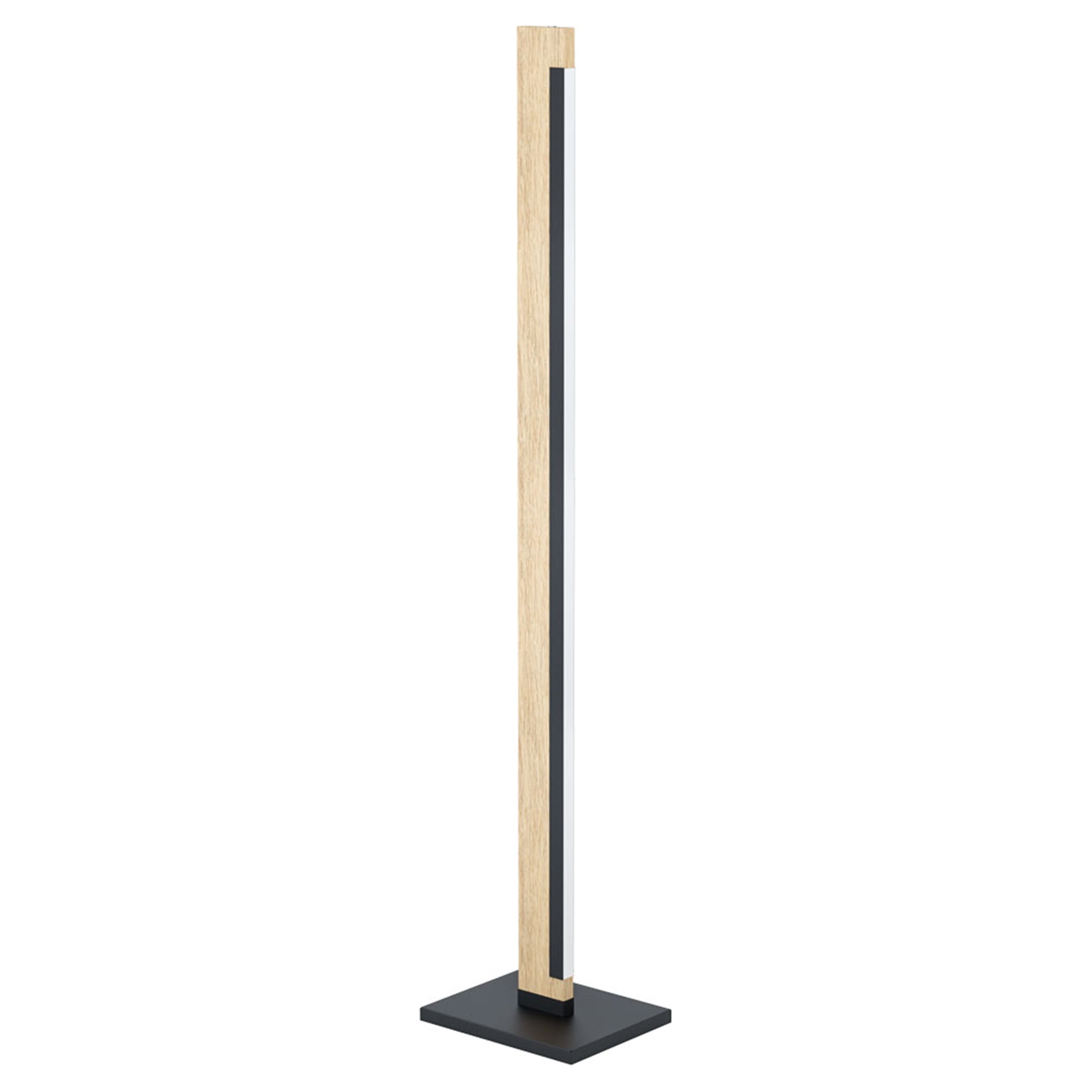 Camacho Minimalist Black and Natural Wood LED Floor Lamp