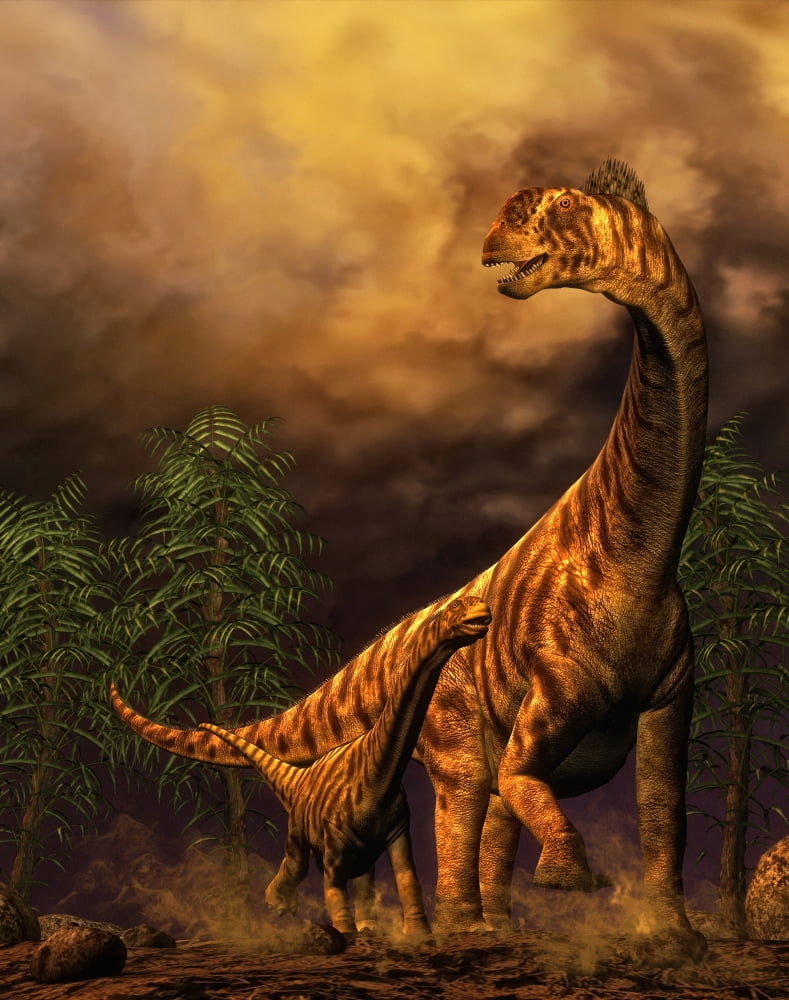 Camarasaurus adult and offspring Canvas Art - Philip BrownlowStocktrek Images (13 x 16)