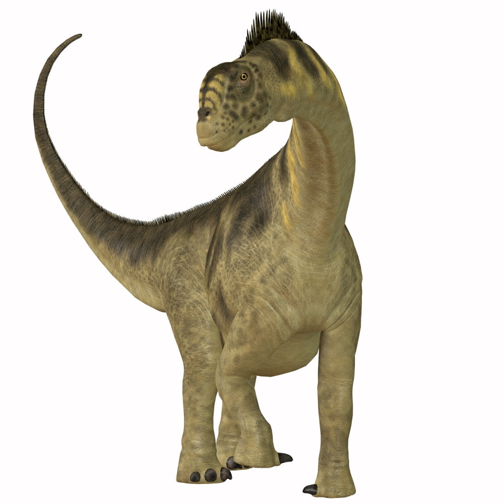 Camarasaurus dinosaur Canvas Art - Corey FordStocktrek Images (29 x 29)