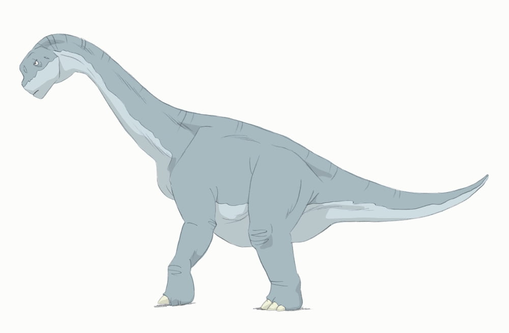 Camarasaurus pencil drawing with digital color Canvas Art - Alice TurnerStocktrek Images (17 x 12)