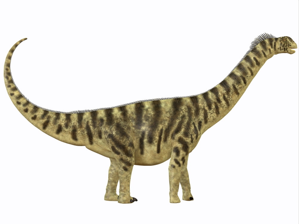 Camarasaurus was a sauropod dinosaur that lived during the Jurassic Age Canvas Art - Corey FordStocktrek Images (17 x 13)