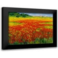 thumbnail image 1 of Camargo, Jesus P. 18x15 Black Modern Framed Museum Art Print Titled - Amapolas IV, 1 of 5