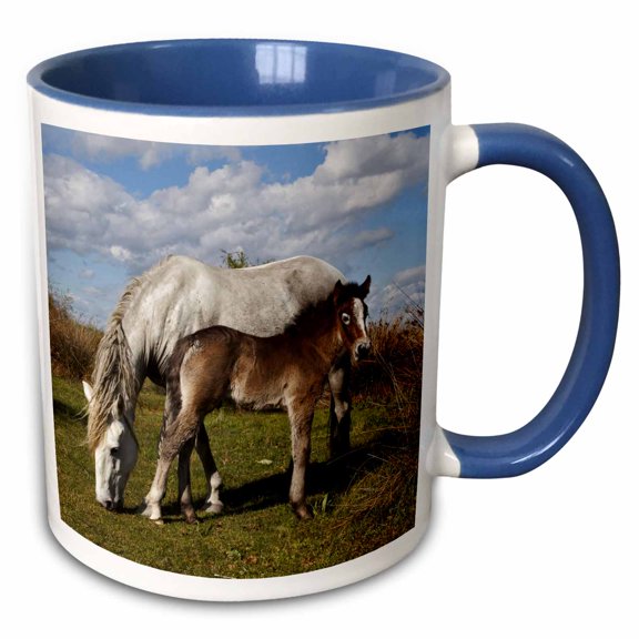3drose, Camargue Horse Foal, Mother, Camargue, France - Eu09 Aje0091 - Adam Jones, 11oz Two-tone Blue Mug
