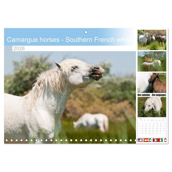 Camargue horses - Southern French white horses (Monthly Wall Calendar 2026 16.5 x 23.4 (open)), CALVENDO 14 Month Calendar