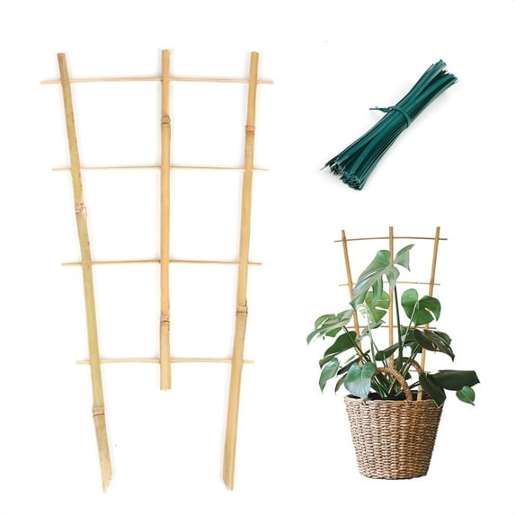 Cambaverd 3 Pack Bamboo Trellis, 16 inch Plant Trellis Indoor, Garden Trellis for Potted Plants and Vegetables