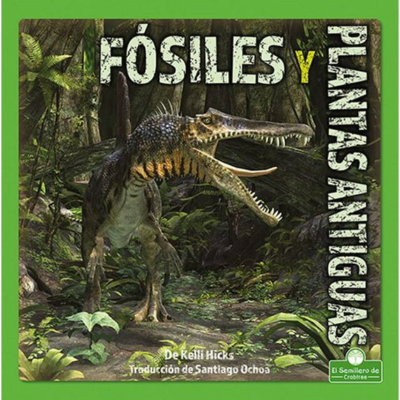 Cambios Increíbles en la Tierra (Incredible Changes On Earth): Fósiles Y Plantas Antiguas (Fossils and Ancient Plants) (Paperback)