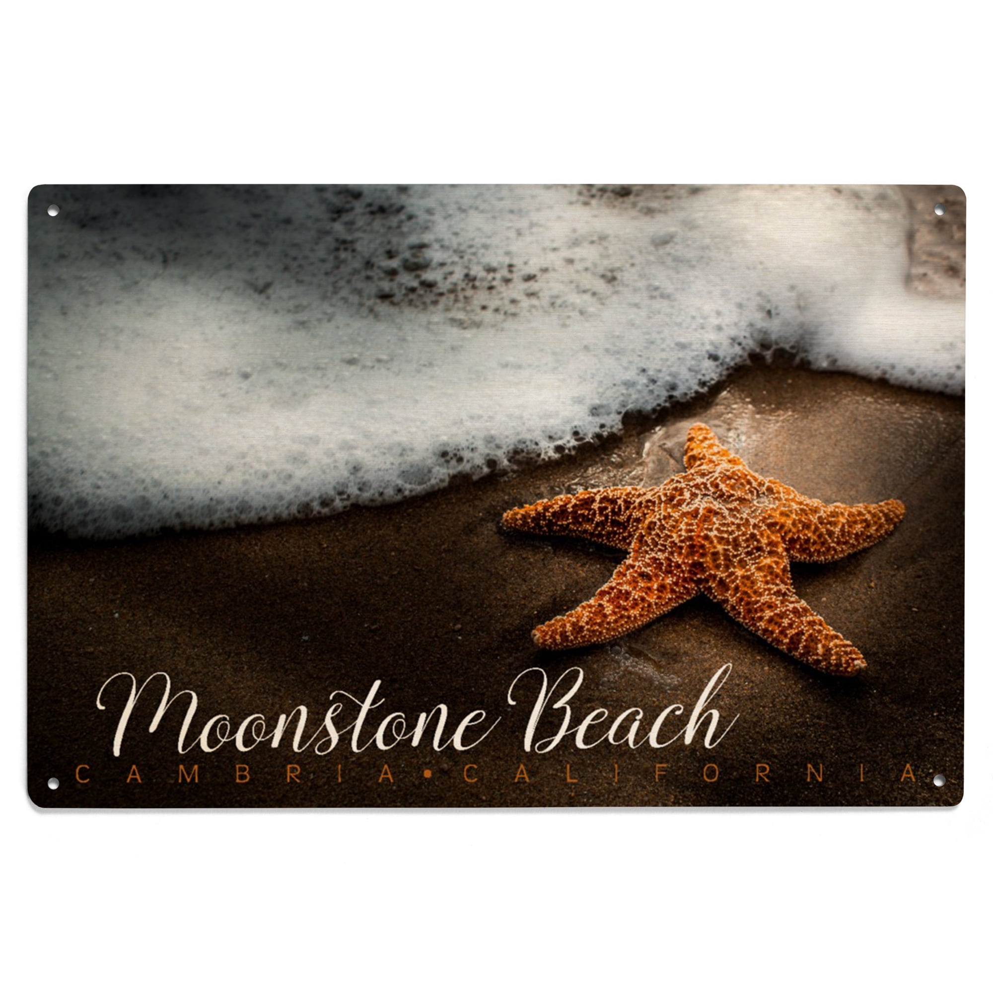 Cambria, California, Moonstone Beach, Starfish and Sea Foam Birch Wood ...