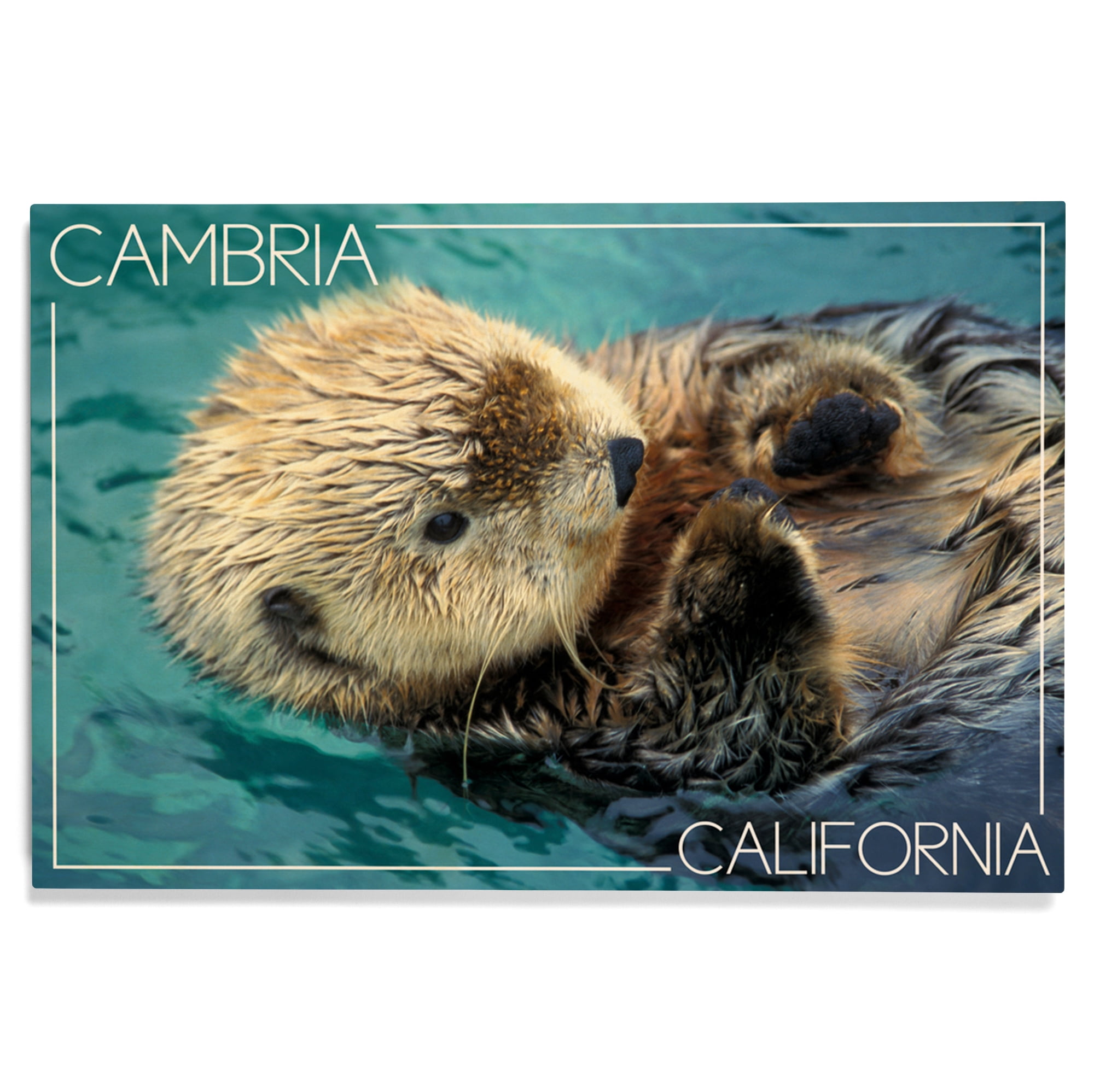 Cambria, California, Sea Otter Photograph Birch Wood Wall Sign (12x18 ...