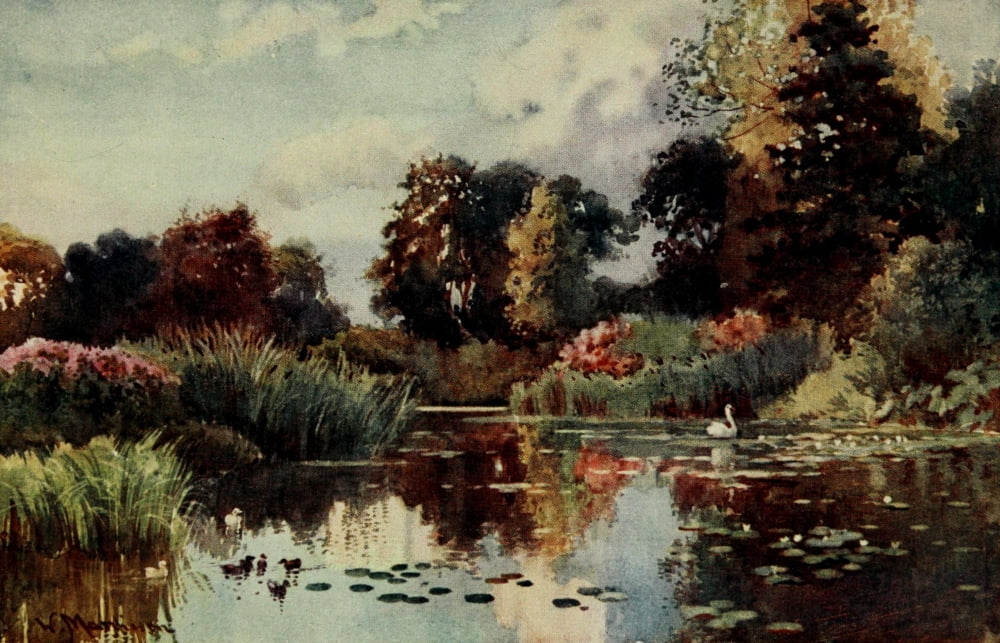 Cambridge 1907 Lake in Botanic gardens Canvas Art - William Matthison (18 x 24)