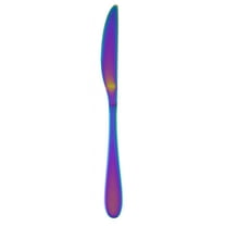 Cambridge Byram Rainbow Mirror Stainless Steel Dinner Knife (1 Count)