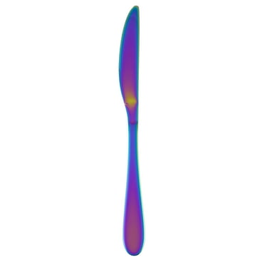 Cambridge Byram Rainbow Mirror Stainless Steel Dinner Knife (1 Count)