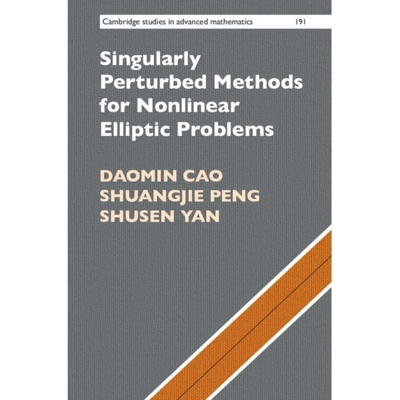 Cambridge Studies in Advanced Mathematic Singularly Perturbed Methods for Nonlinear Elliptic Problems, (Hardcover)