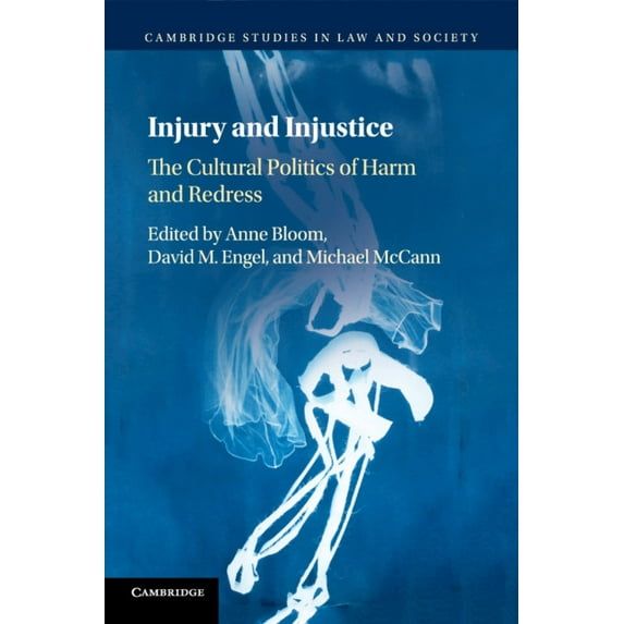 Cambridge Studies in Law and Society Injury and Injustice: The Cultural Politics of Harm and Redress, (Paperback)