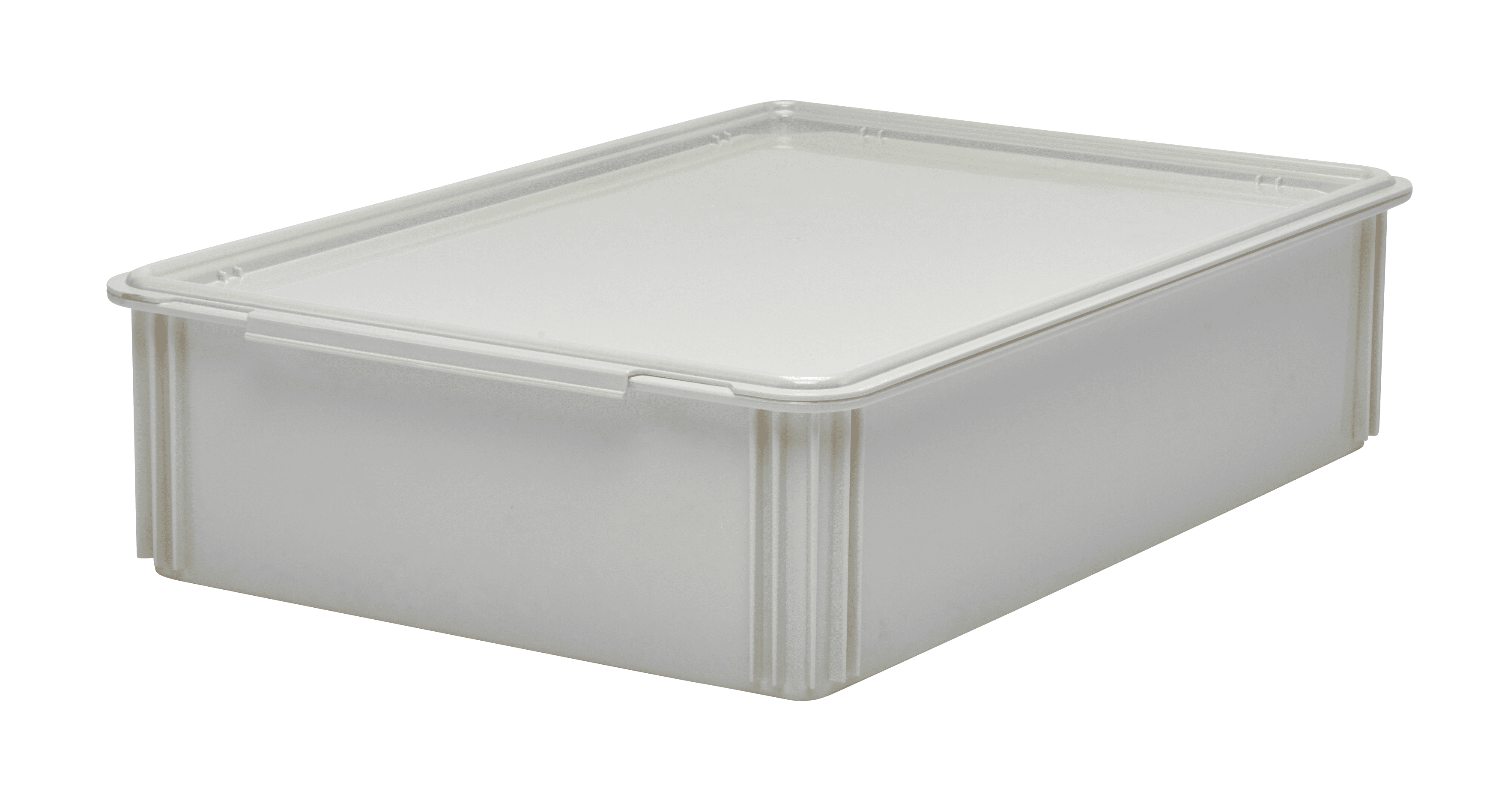 Reusable Pizza Storage Container – Bravo Goods