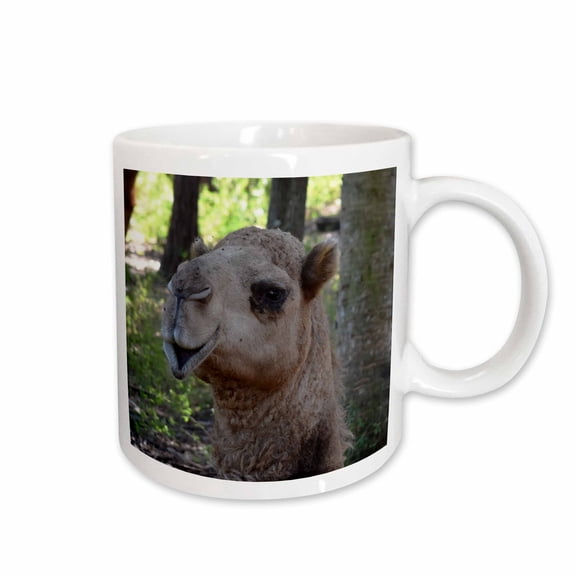 3drose, Camel Dromedary Face Animal, 11oz Mug