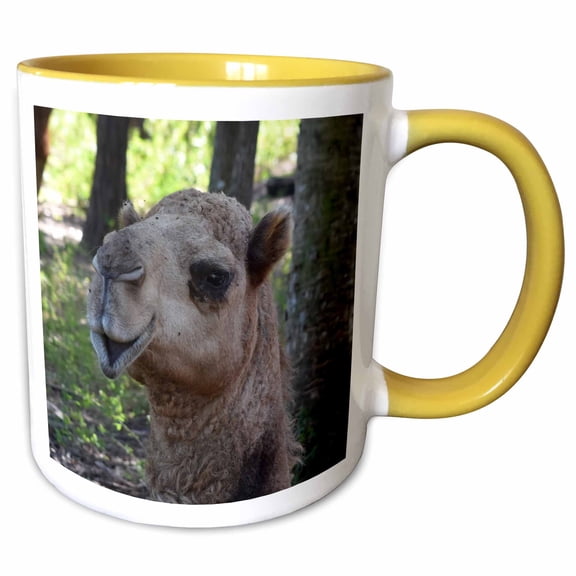 3drose, Camel Dromedary Face Animal, 11oz Two-tone Yellow Mug