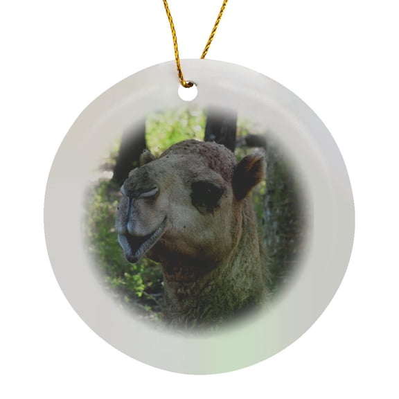 3drose, Camel Dromedary Face Animal, Circle Porcelain Ornament