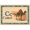 thumbnail image 1 of Camel-Fine Art Canvas Print (20" x 30"), 1 of 1