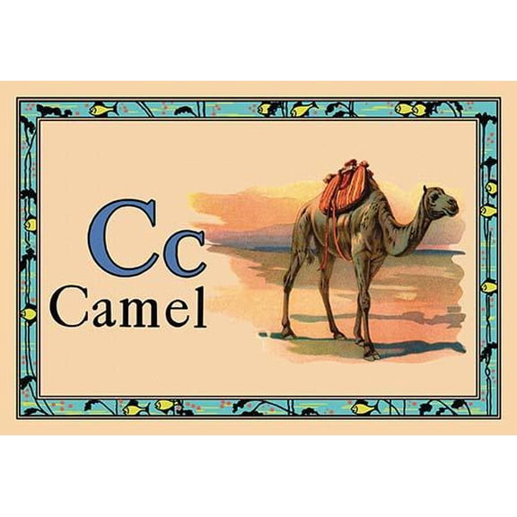Camel-Fine Art Canvas Print (20" x 30")
