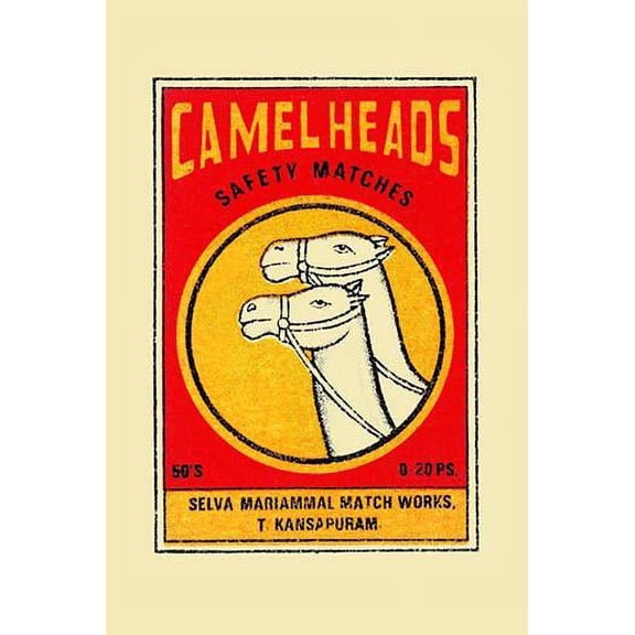 Camel Heads-Fine Art Canvas Print (20" x 30")