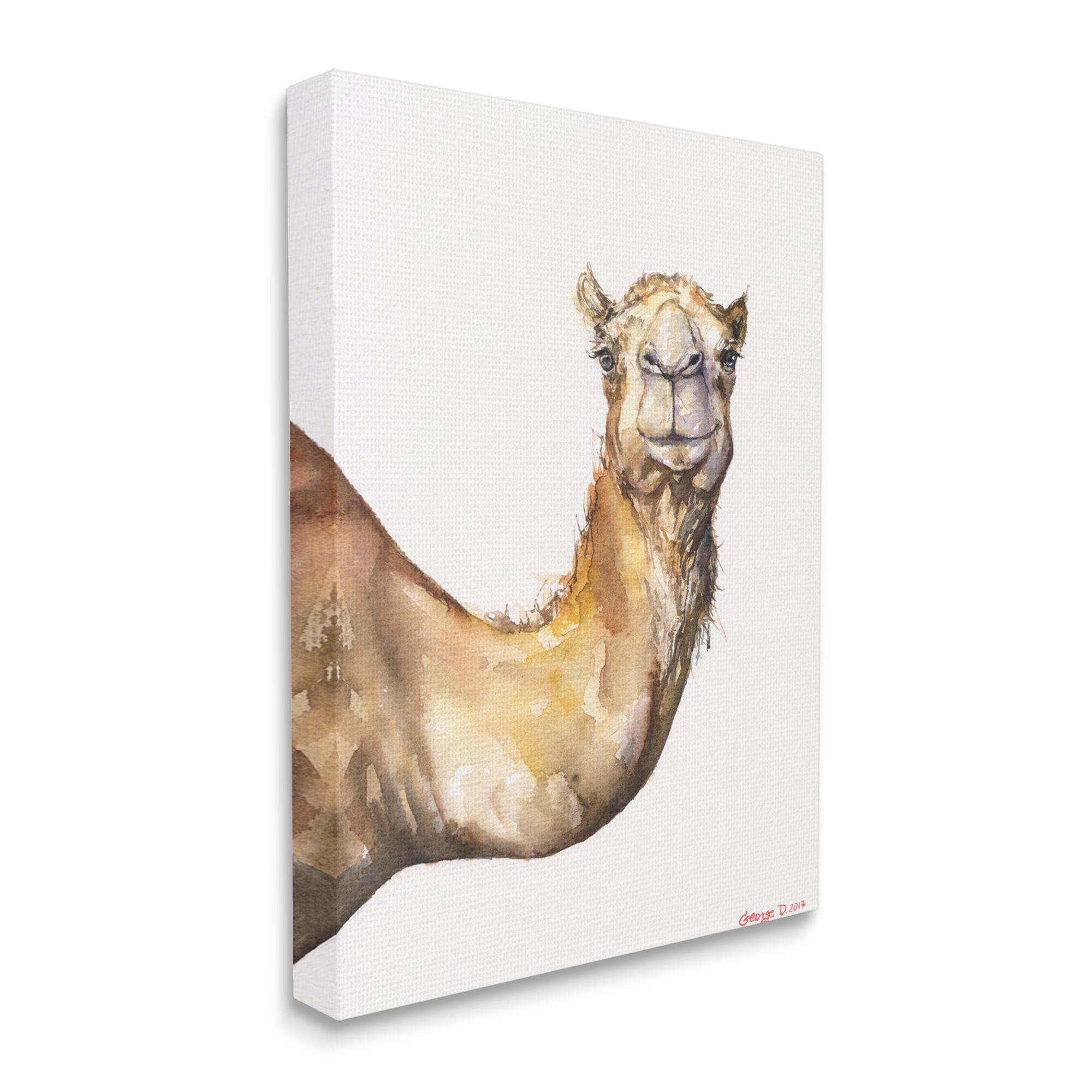 Stupell Industries Camel Side Portrait Desert Animal Tan White Canvas Wall Art, 24 x 30, Design by George Dyachenko