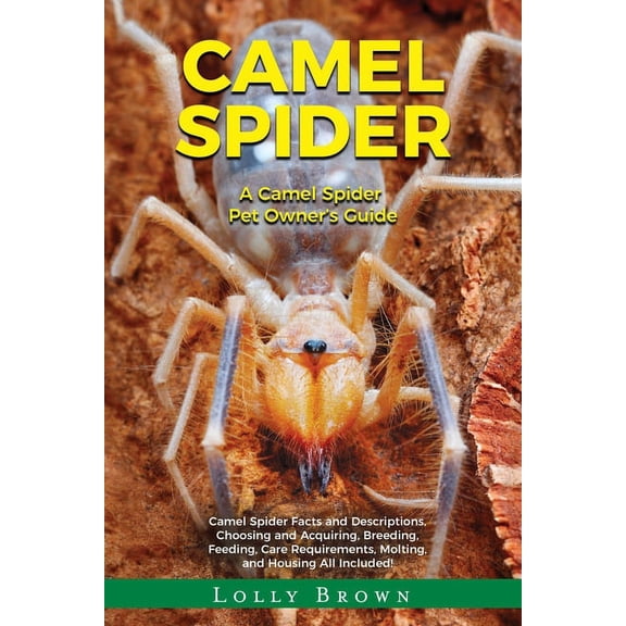 Camel Spider: A Camel Spider Pet Owner's Guide, (Paperback)
