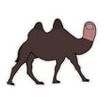 thumbnail image 1 of Camel Toe Vinyl Sticker Decal (3" x 4") | Peel & Stick | Funny, Humor, Gift, Animal, Camel, Humorous, Sarcastic, Satirical, 1 of 5