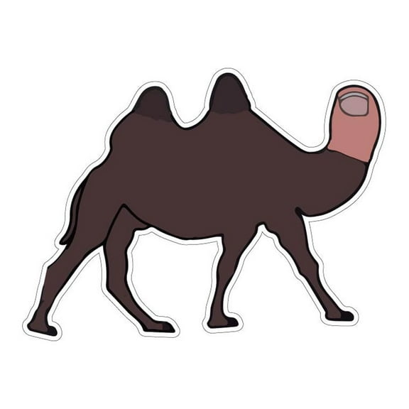 Camel Toe Vinyl Sticker Decal (3" x 4") | Peel & Stick | Funny, Humor, Gift, Animal, Camel, Humorous, Sarcastic, Satirical