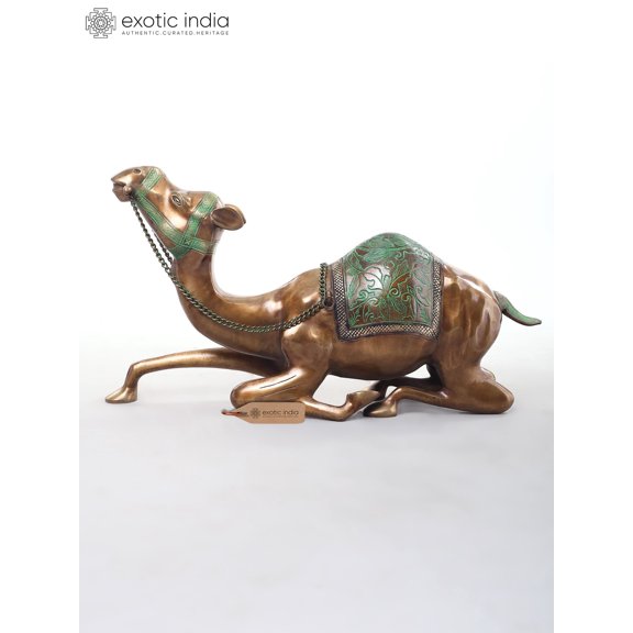 Camel with Outstretched Neck
