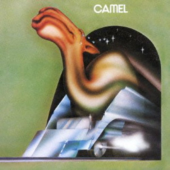 Camel