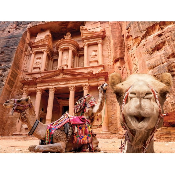 Camel