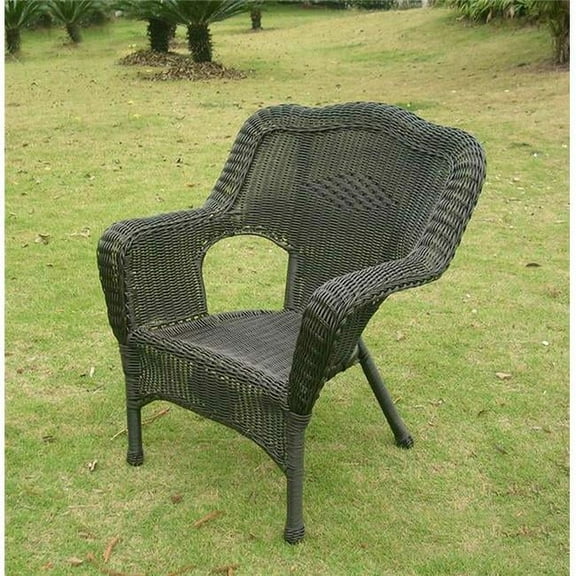 Camelback Resin Wicker Patio Chair, Antique Black