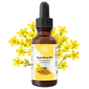 Camelina Oil Camelina Sativa   Pure Cold-Pressed Omega-Rich Oil for Skin & Hair by Relaxcation
