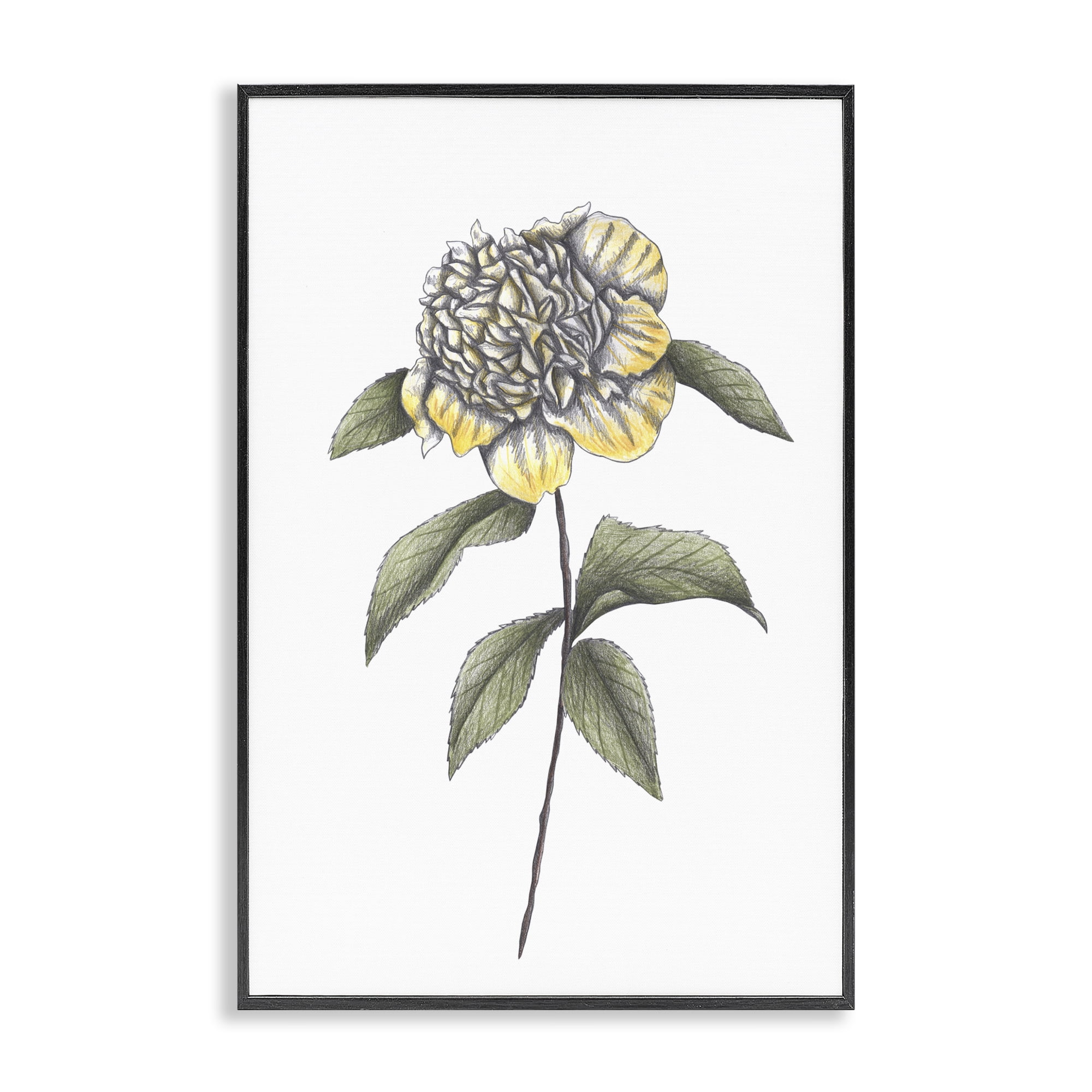 Camellia Flower Illustration Black Framed Giclee Art, design by Cecilia Battaini