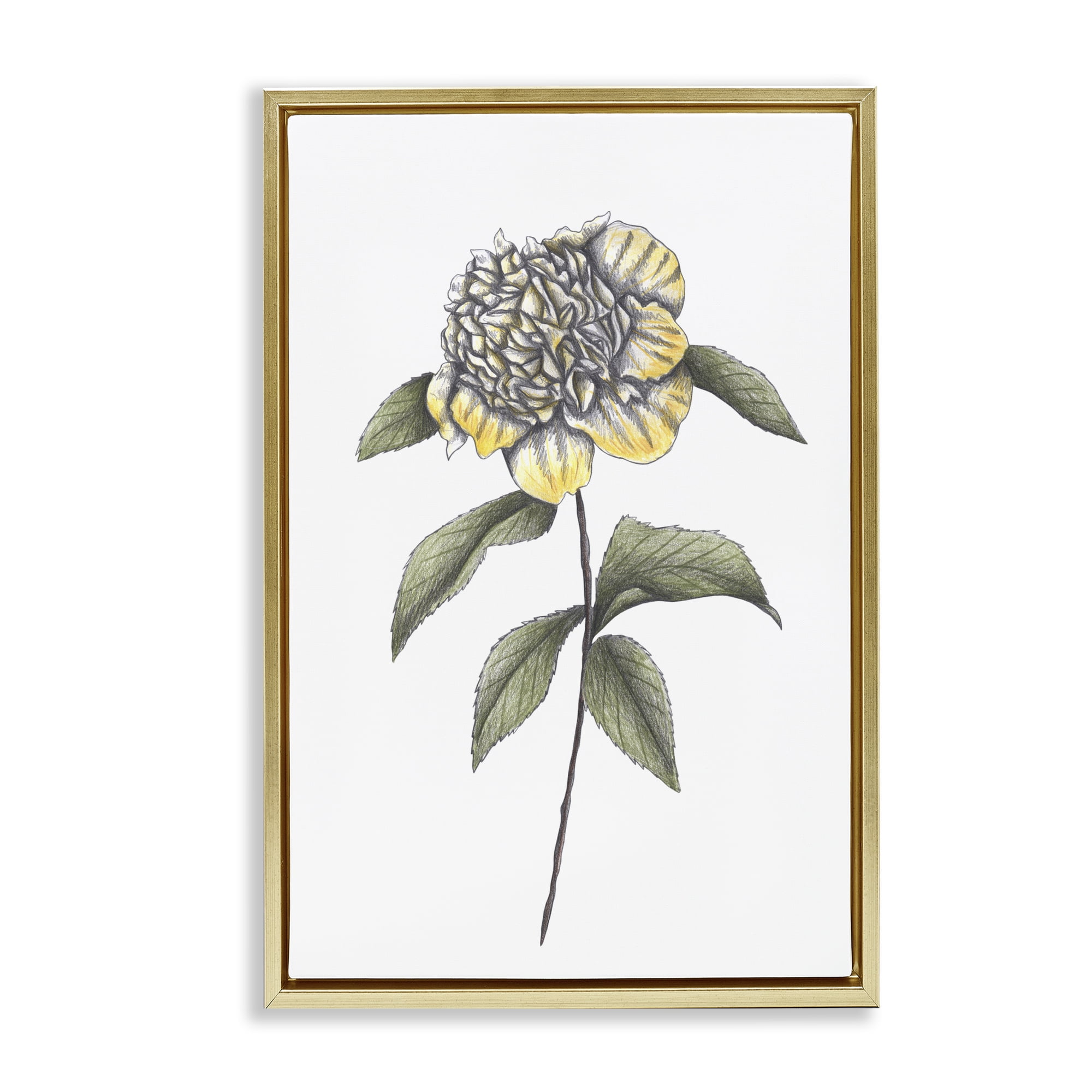 Camellia Flower Illustration Gold Framed Floater Canvas Wall Art, design by Cecilia Battaini