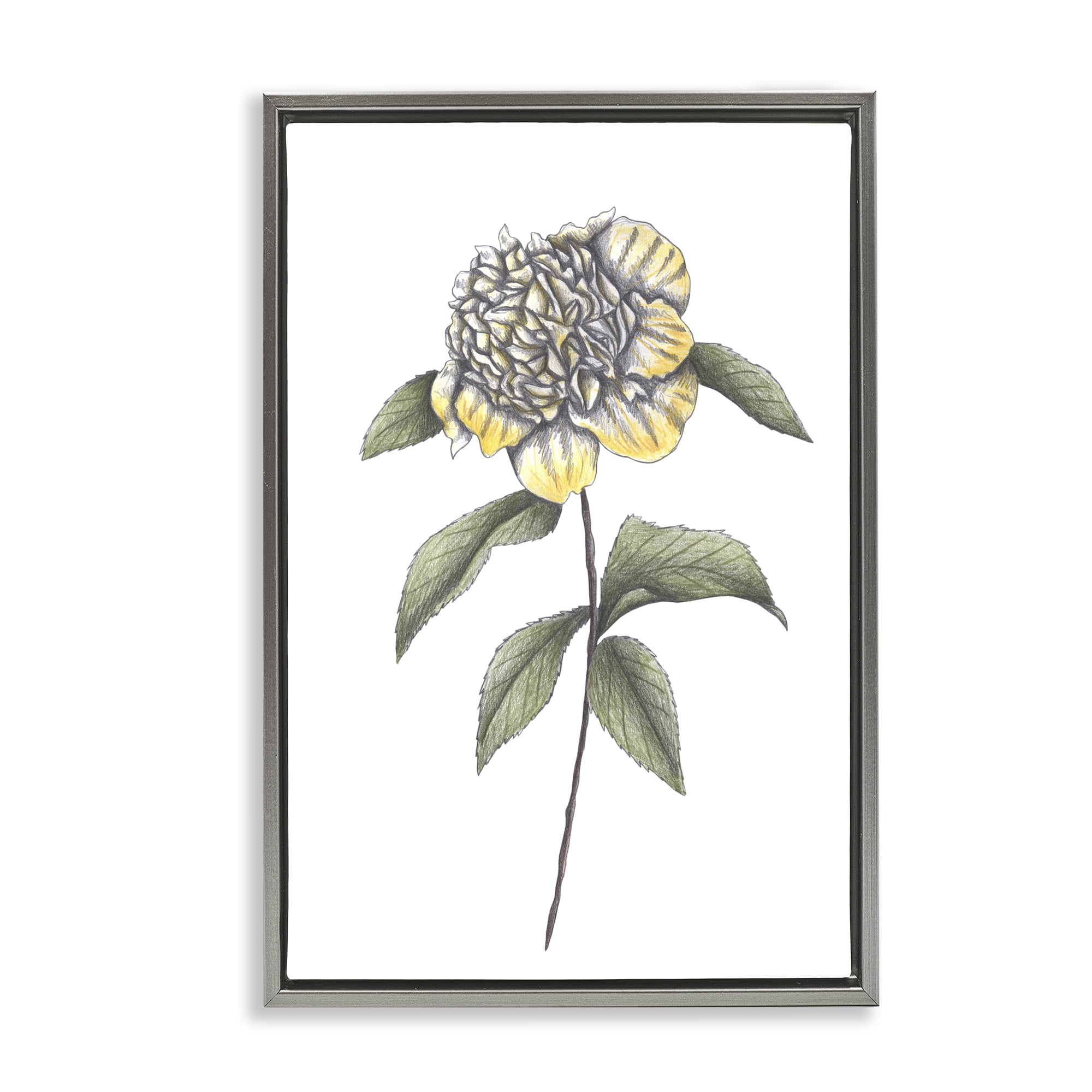 Camellia Flower Illustration Gray Framed Floater Canvas Wall Art, design by Cecilia Battaini