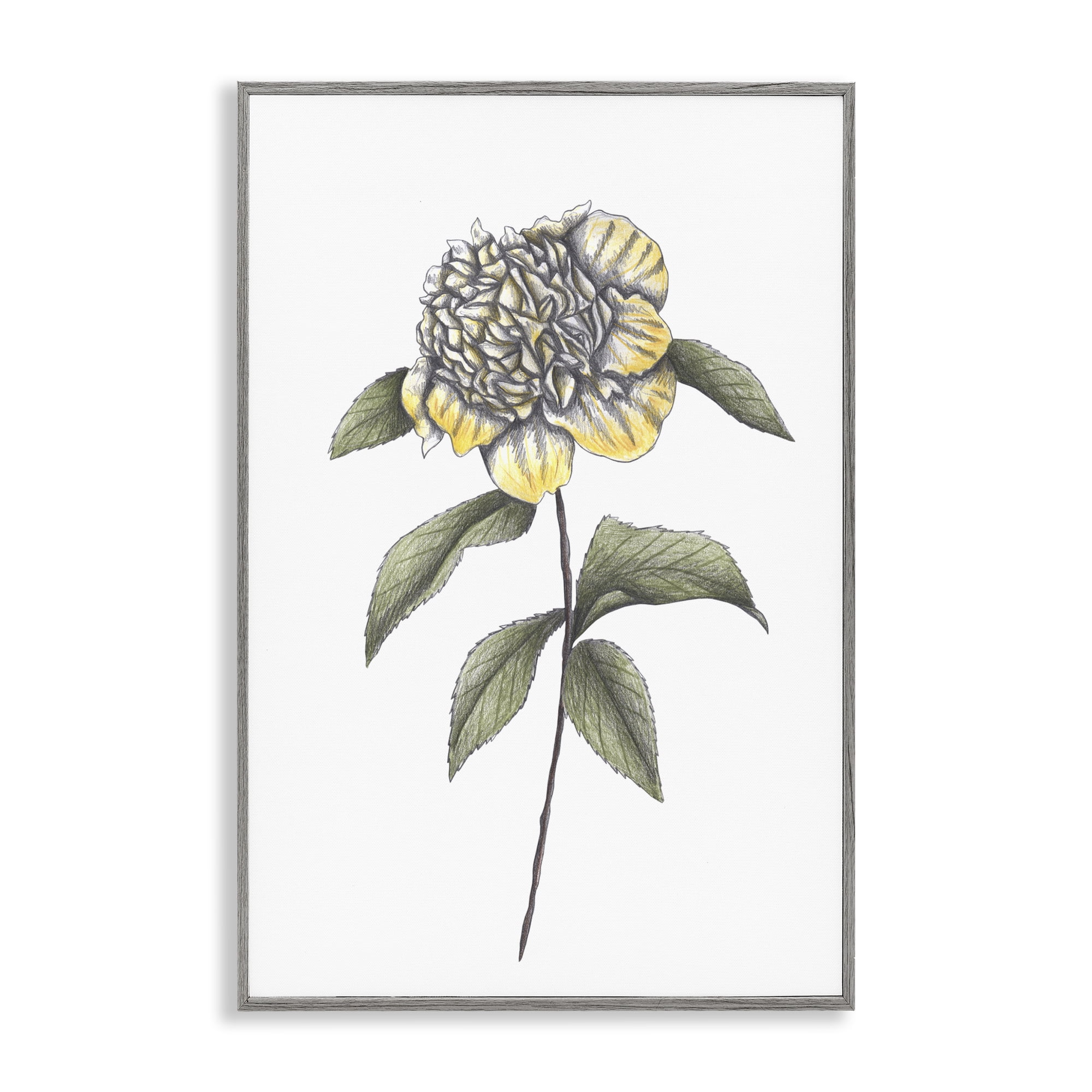 Camellia Flower Illustration Gray Framed Giclee Art, design by Cecilia Battaini