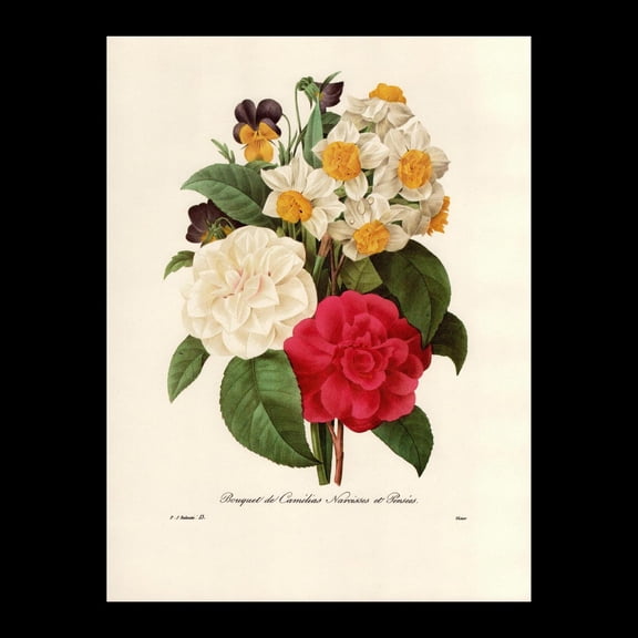 Camellia Narcissus Pansy Bouquet Print, Unframed Paper Poster 8x10in
