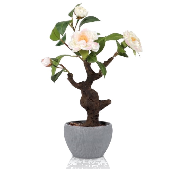 Small Artificial Camellia Bonsai Tree Decor 15" Tall Faux Blooming Camellia Floral Tree Potted Plant Desk Display with Bonsai Pot