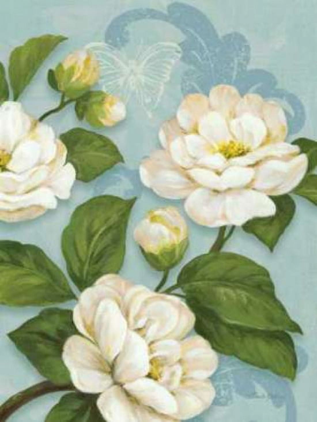 Camellias Canvas Art - Pamela Gladding (18 x 24)