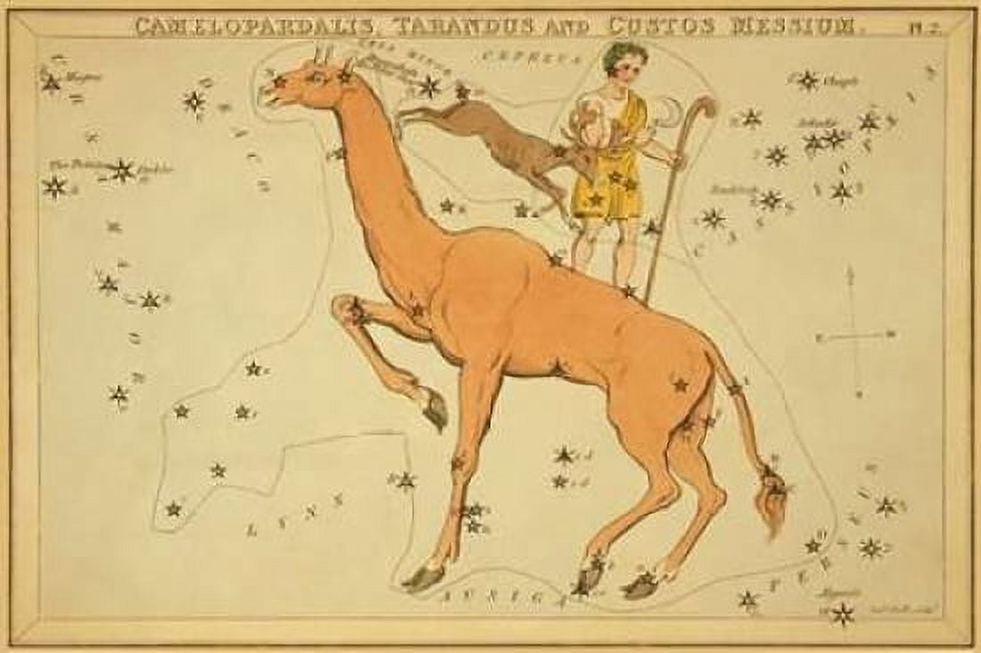 Camelopardalis Tarandus and Custos Messium 1825 Canvas Art - Jehoshaphat Aspin (24 x 36)
